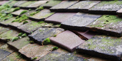Brimstage roof repair costs